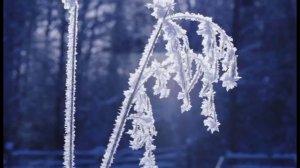 Антонио Вивальди - Зима 💖