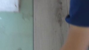 SPC ламинат Fargo (полный обзор) Кварцевый ламинат