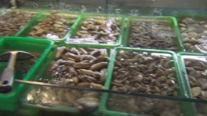 Ночной рынок еды (Хуньчунь, Китай)