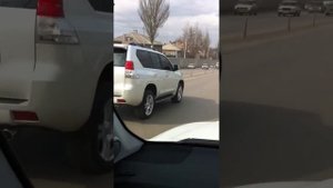 Прадо на 20 дисках