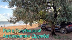 Голубицкая - Автокемпинг ,ДРУЖБА,. Курортная 145. Обзор, цены, Азовское море!