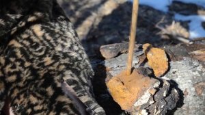 Добыча огня первобытным способом #1