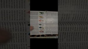 Обзор журналов.