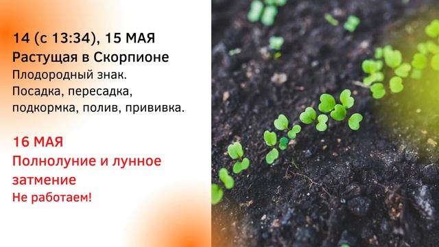 ТОЧНЫЙ ЛУННЫЙ ПОСЕВНОЙ КАЛЕНДАРЬ НА МАЙ 2022 по дням  #лунныйпосевнойкалендарь