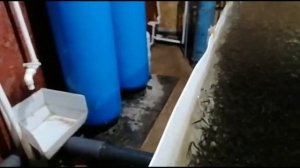 Сортировка малька форели