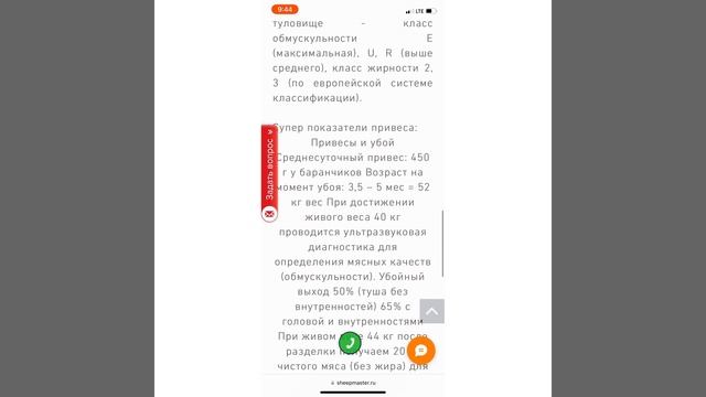 Овцы Мериноланд, бараны Мериноланд Купить смотреть онлайн