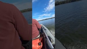 лодка admiral 3,20 с мотором sea pro 9.8