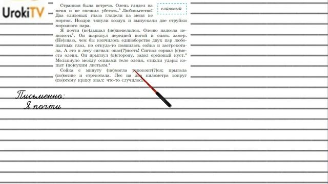 Упражнение №250 — Гдз по русскому языку 5 класс (Ладыженская) 2019 часть 1 смотреть онлайн
