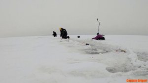 Ловим корюшку на Финском заливе Северная дамба 2021 и готовим корюшку , catching smelt in the Gulf