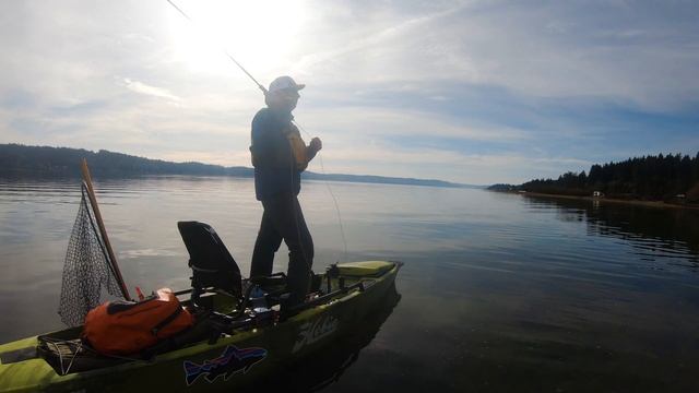 Saltwater Fly Fishing Over Schools Of Spooky Salmon