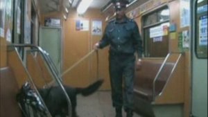 террористическая угроза