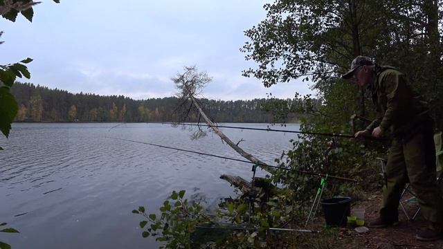 Ловлю рыбу в пасмурный день! Озеро Петровское. Fishing on a cloudy day. Lake Petrovskoye смотреть онлайн