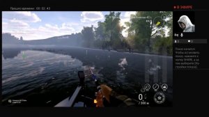 уникальный жерех р.Тибр