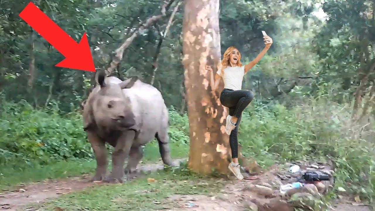 Она Зря Сделала Это! Случаи с Животными 1 на Миллиард Снятые на Камеру смотреть онлайн