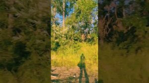 18-19 августа 2023 Рыбалка с ночёвкой с друзьями! Кижуч! Река Ола. Магаданская область.