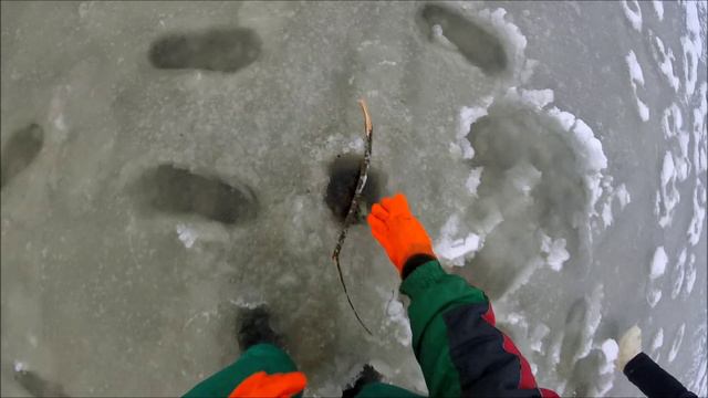 За ЩУКОЙ по старым лункам.