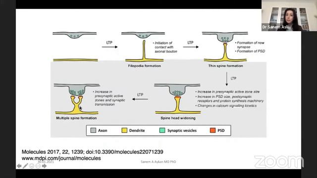 Öğrenmenin Nörofizyolojik Temelleri | Dr. Öğr. Üyesi Sanem Aslıhan Aykan смотреть онлайн