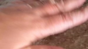 Домашние котлеты.Очень вкусные и сочные.