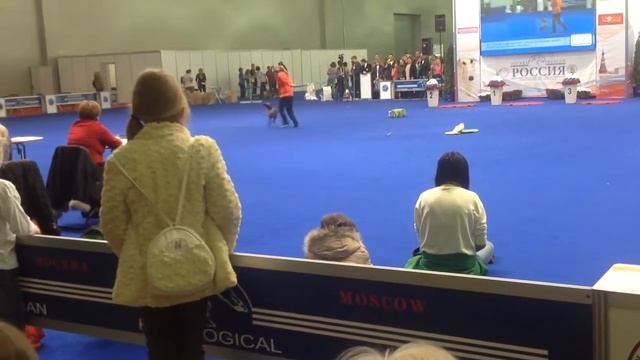 Харахурсах Елена и Ежа смотреть онлайн