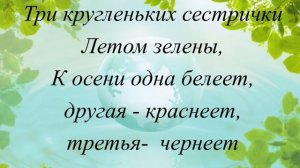 Викторина   Экология вокруг нас, педагог   Фещенко О В , МБУ ДО ЦДТ г  Краснозаводск