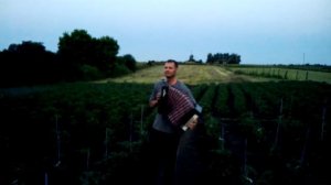 Четыре татарина.На гармошке.