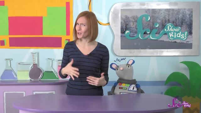 What is a Blizzard?  Winter Science  Weather Science  SciShow Kids