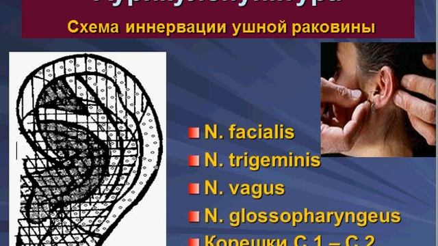 Д.мед.н., профессор Коваленко О.Е. смотреть онлайн
