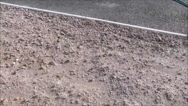 Garden Flower Beds Walkround Belfast April 13th 2020 смотреть онлайн