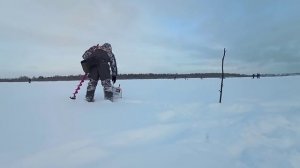 Лютый КАМБЭК! Кубок республики Коми по спортивной мормышке 2022! Вырвать зубами...