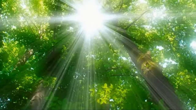 День 1 . Медитация 21 день Изобилия Дипак Чопра на русском языке смотреть онлайн