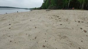 Еловсвое водохранилище в Ангарске июнь месяц 2022 г  Водохранка Ангарск