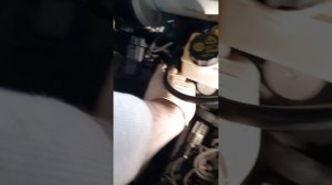 Headlight bulb change T6 VW easy change. Camper van bulb change