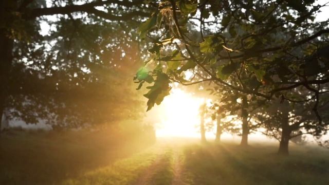 СТИХИ |Авгусе 2023|| ||Вита Дмитрук; Наташа Баханцева, Марина Волкова ;Елена Кмец;Катя Полищук смотреть онлайн