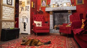 Экскурсия по Дому Гарри