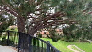 Почему Русские не улыбаются