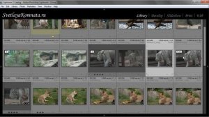 Урок 011 полного русского курса по Lightroom 2