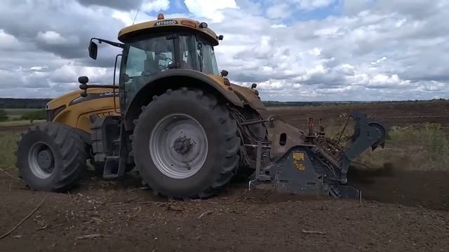Раскорчевка старого сада