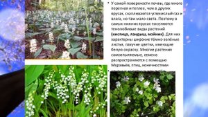 Биология, 6 класс, § 31 "Совместная жизнь организмов в природном сообществе"