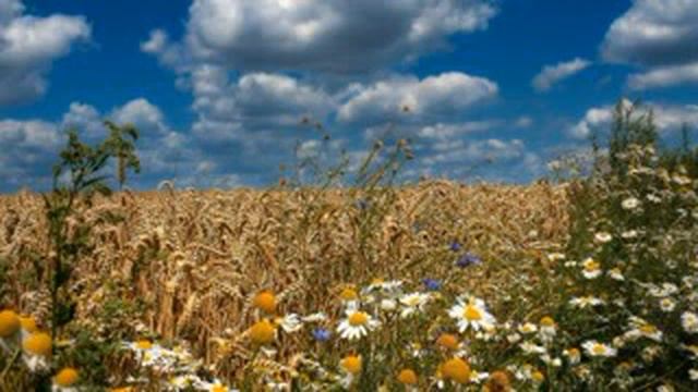 Иду по росе я босой.. смотреть онлайн