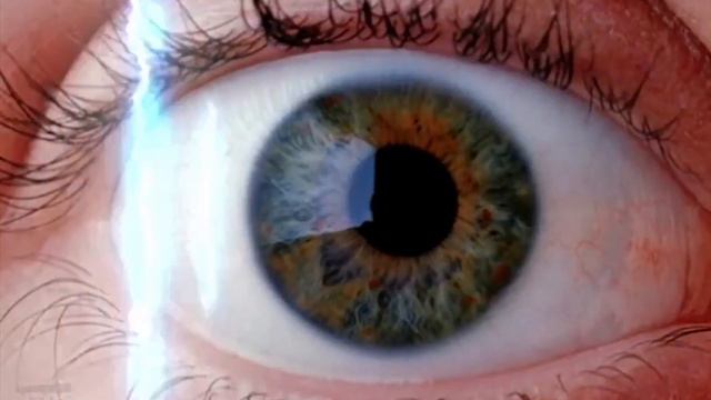 Gibson Group / I.D. Productions / NZ On Air / TV2 (2002) смотреть онлайн