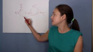 Как открыть компанию в США: пошаговая инструкция