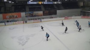 22.02.2019 «Сибирские Волки» Барнаул - «ХК-22» Барнаул - [ ЛХЛ-D l Карандин-Арена]