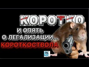 ОПЯТЬ о легализации короткоствола (пистолетов и револьверов). Логика и доводы. Павел Дартс