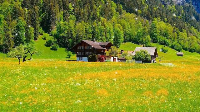 Музыка для души! Эту музыку можно слушать вечно! Лучшие композиции Сергея Чекалина #19 смотреть онлайн