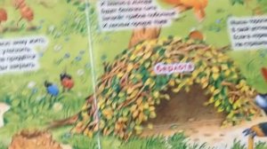 Как животные готовятся к зиме. Книга с окошками для детей. Секреты животных