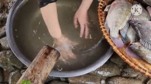 FULL VIDEO: 60 day Harvest, vegetables, cabbage and peas at the farm to take to the market