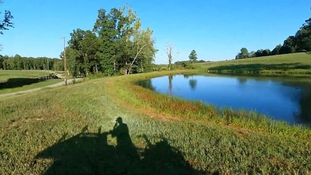 Here's how I Messed up...Farm Pond Basics most don't know! смотреть онлайн