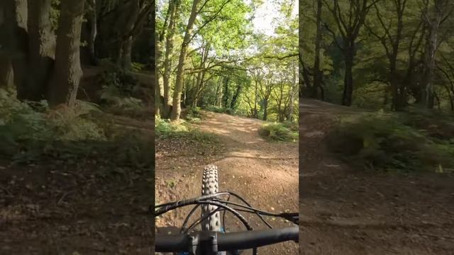 Fun little line at Danbury common on the Scott ebike