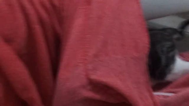 Brincando debaixo do sofa смотреть онлайн