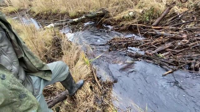 ОХОТА НА БОБРА . ПРОВЕРЯЕМ КАПКАНЫ КП-250. смотреть онлайн